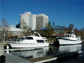 Hampton harbor
